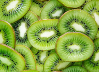 Na jakie modele wyciskarek do cytrusów można się decydować