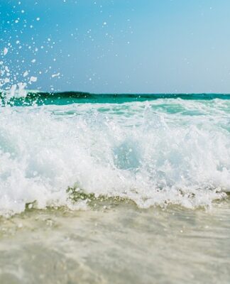 Jak wzbogacić piaszczystą glebę?